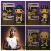 Dropkick Murphys Commemorative Pop Figure