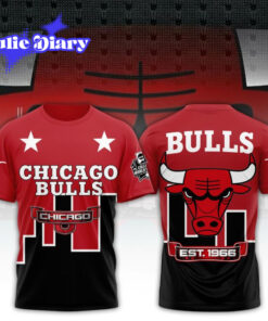 NBA x Chicago Bulls Skyline Hoodie & Tee