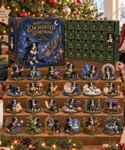 Border Collie Enchanted Storybook Advent Calendar